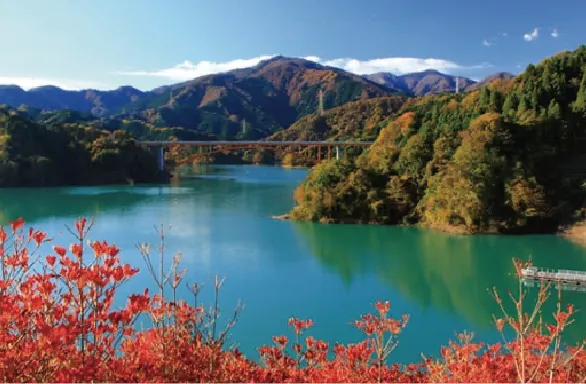 相模湖エリアグルメ情報